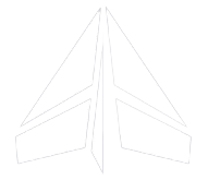 fly delta wing logo white